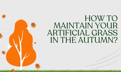 Autumnal Splendor: A Guide to Keeping Your Artificial Grass Gorgeous