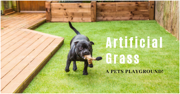 Artificial Grass - A Pets Playground!