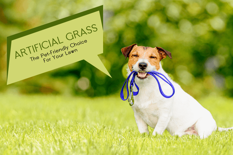 ARTIFICIAL  GRASS - The Pet - Friendly Choice For Your Lawn 