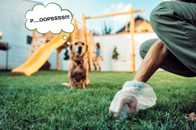 Why Poop Can't Damage Artificial Grass For Dogs