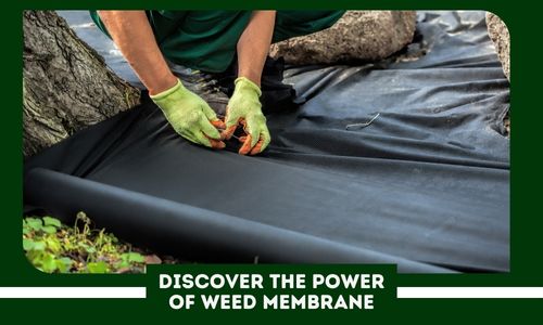 Say Goodbye to Unwanted Weeds: Discover the Power of Weed Membrane