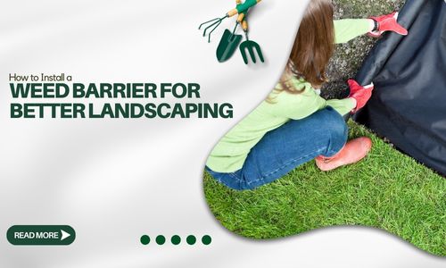 How to Install a Weed Barrier for Better Landscaping