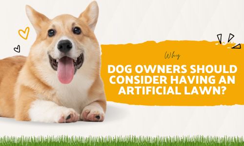 Why Dog Owners Should Consider Having an Artificial Lawn