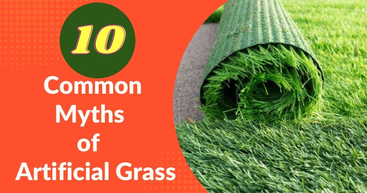 Top 10 Common Myths of Artificial Grass 