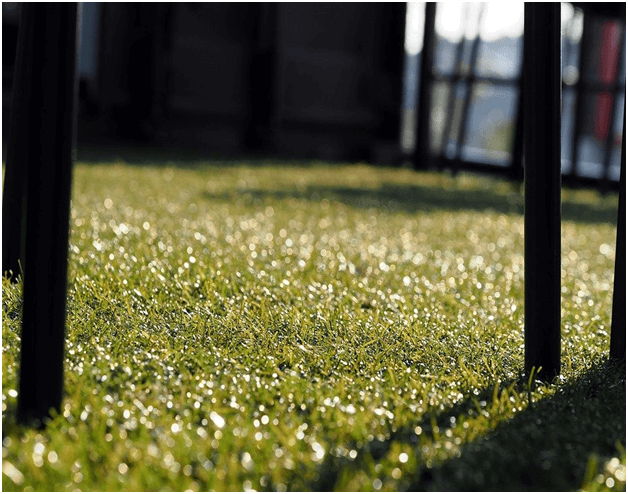 Do Weeds Come Through Artificial Grass Once It Is Installed?