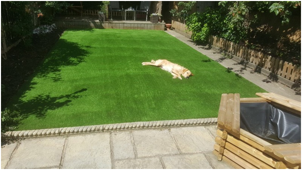TOP 25 QUERIES REGARDING ARTIFICIAL GRASS ANSWERED BY INDUSTRY EXPERTS: PART 2