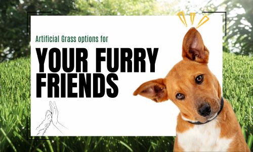 Pet-Friendly Artificial Grass Options for Your Furry Friends